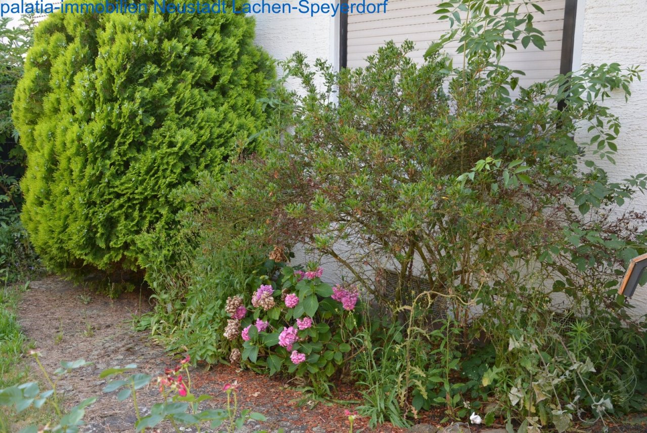 Garten weiteres Bild Garten weiteres Bild